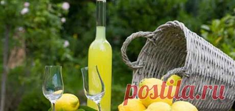 Как приготовить лимончелло на спирту - Готовим рецепты