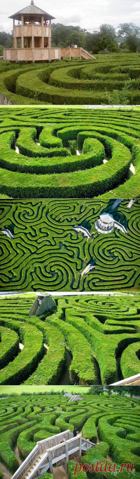 Longleat Hedge Maze: самый длинный в своём роде лабиринт в мире