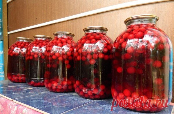Вишнёвый концентрат с листьями чёрной смородины на зиму  Яркий и насыщенный вкус!