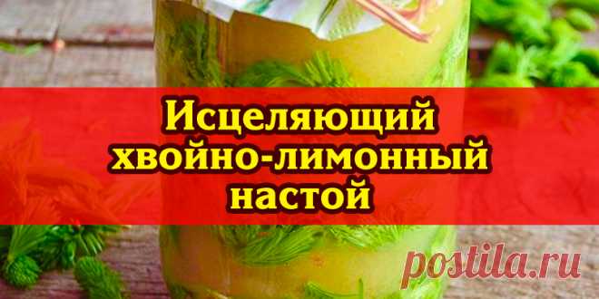 Исцеляющий хвойно-лимонный настой | Полезные советы
