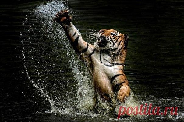 (1) Мой Мир@Mail.Ru