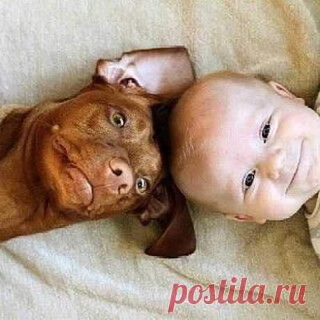 Дети и животные на фотографиях – редкие снимки, способные затронуть душу