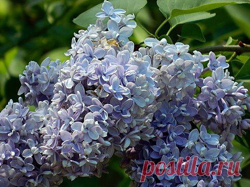 Тараторка — «192.JPG» на Яндекс.Фотках