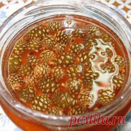 Варенье из сосновых шишек | Банк кулинарных рецептов