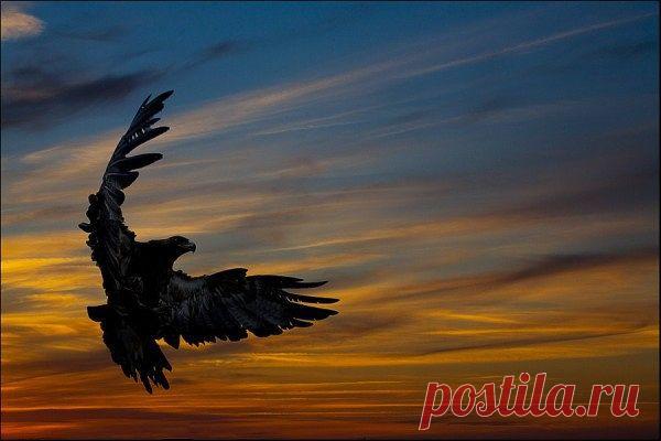 Жизнь измеряется не числом вдохов-выдохов, а моментами, когда захватывает дух.
© Джордж Карлин