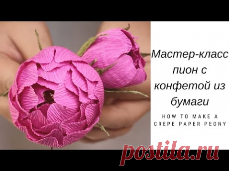 Мастер-класс / Пион с конфетой из бумаги / Букет из конфет / How to make a crepe paper peony