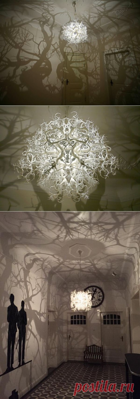 Тени дремучего леса