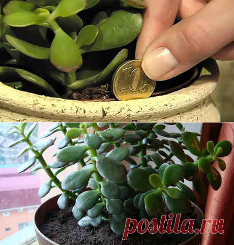 3 непрочитанных чата