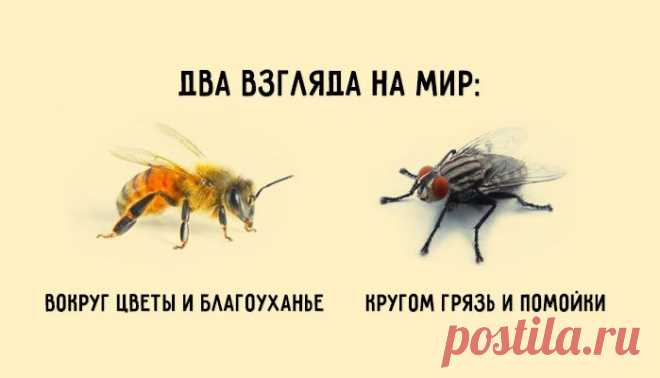 О состоянии «выученной беспомощности»