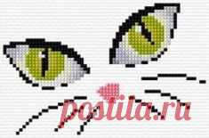 Cat // Лариса Гардзиль