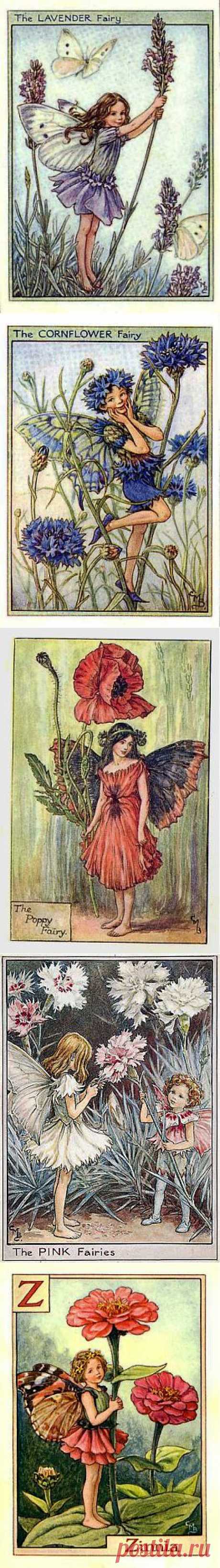ЦВЕТОЧНЫЕ ФЕИ НА ВСЕ ВРЕМЕНА. Художница Cicely Mary Barker.