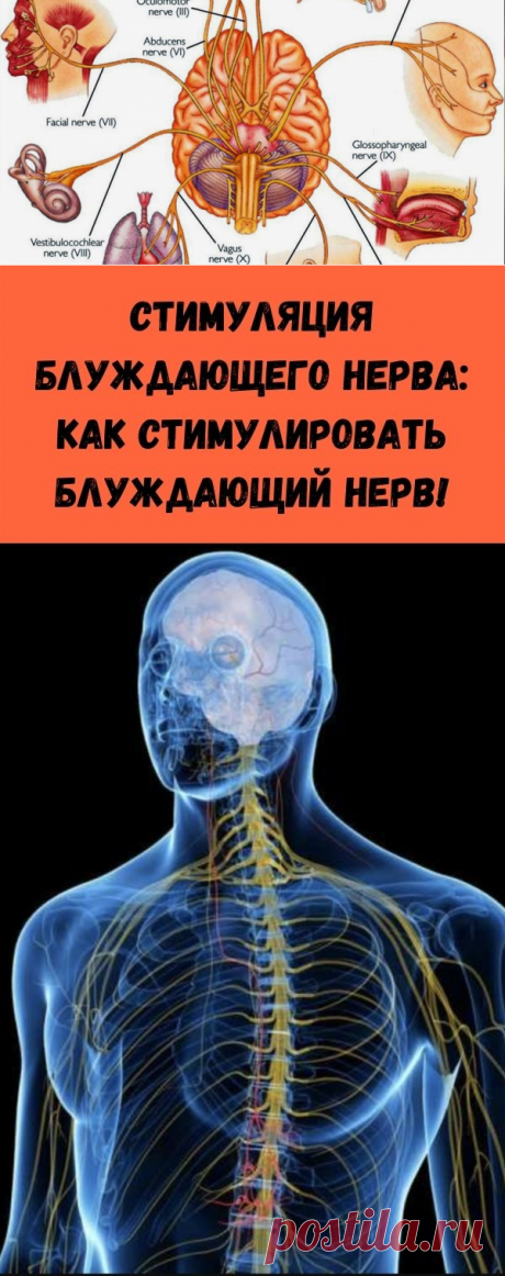 Cтимуляция блуждающего нерва: как стимулировать блуждающий нерв! - Полезные советы красоты