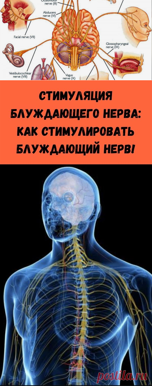 Cтимуляция блуждающего нерва: как стимулировать блуждающий нерв! - Полезные советы красоты