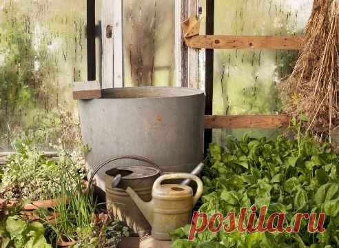 Гуматы: экологически чистые удобрения - Садоводка