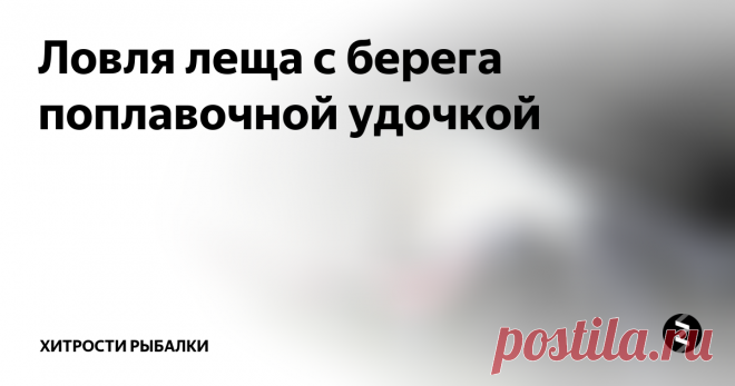 Ловля леща с берега поплавочной удочкой  Лещ - одна из самых многочисленных рыб, населяющих водоемы России. Достигающий 10-килограммовой массы, он всегда вожделенная добыча для любого рыболова-поплавочника. А профессионалы-лещатники издавна пользуются почетом и уважением у рыболовной братии. Для спортсменов же лещ - не менее желанный трофей. Ведь поимка крупного экземпляра вполне может вывести участника в лидеры соревнования.
Ловля в сто