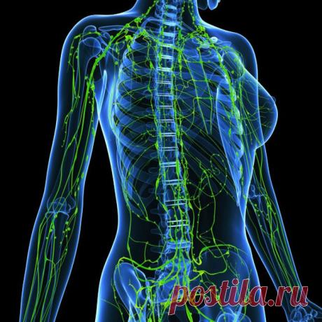 Ольга Бутакова: Лимфатическая система, о чем не знают 90% врачей