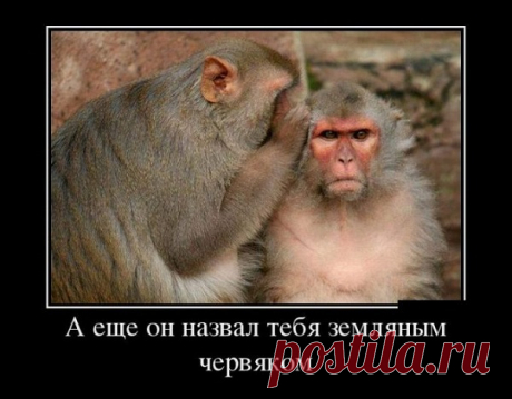 Новые смешные демотиваторы из серии: «Философский сарказм - это вообще не грустно»