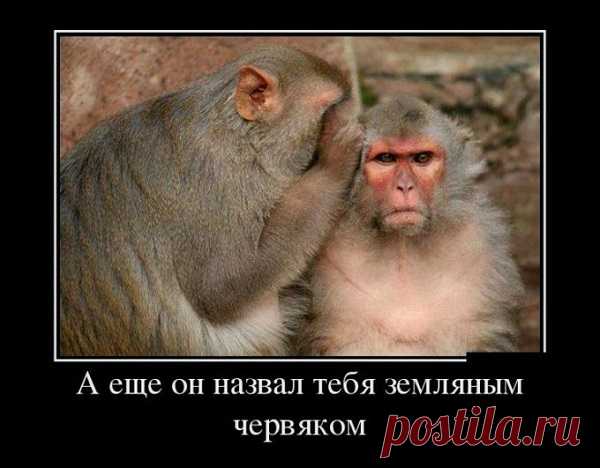 Новые смешные демотиваторы из серии: «Философский сарказм - это вообще не грустно»