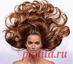 Красота ваших волос | NSP - Продукты Солнца