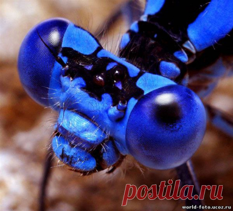 Интересные новости