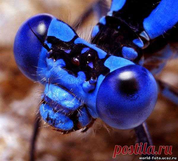 Интересные новости