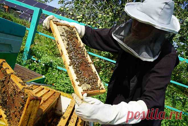 Молитва перед началом и по окончании всякого дела — рецепт райских кущ Валаама При клиниках на Девичьем поле.