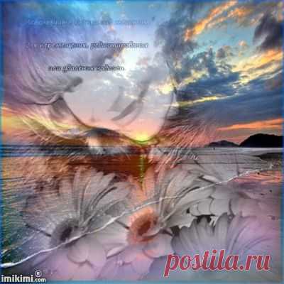 Imikimi.com - Sharing Creativity