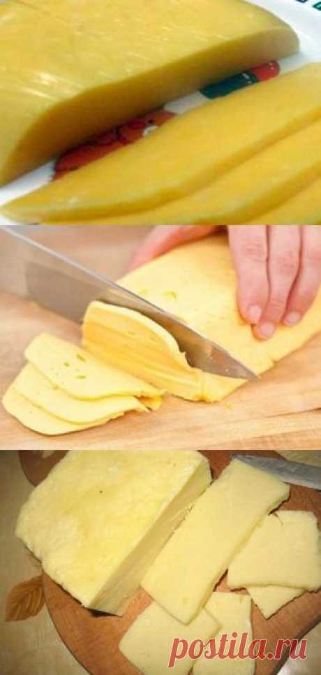 Рецепт самого вкусного домашнего сыра: получается вкусный и твердый, и без грамма химикатов