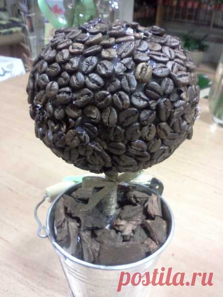 Кофейное дерево счастья