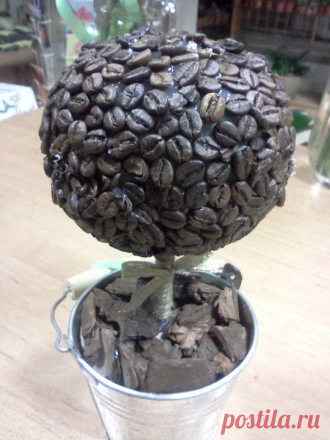 Кофейное дерево счастья