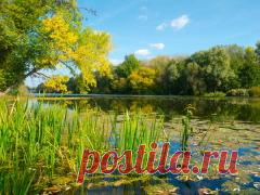 3 сентября в народном календаре Фаддей Проповедник