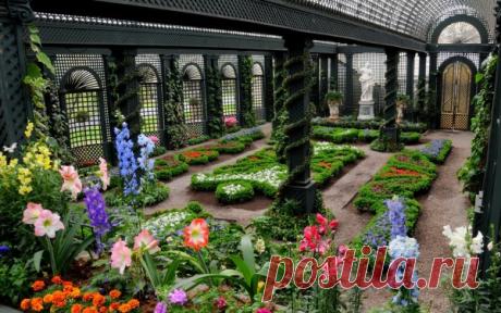 Зимний сад    Под именем оранжерей подразумеваются здания, построенные для содержания и воспитания иностранных растений, которые без дополнительной теплоты, здешнюю зимнюю стужу перенести не могут. Когда за стеклами мороз, а до настоящей […]