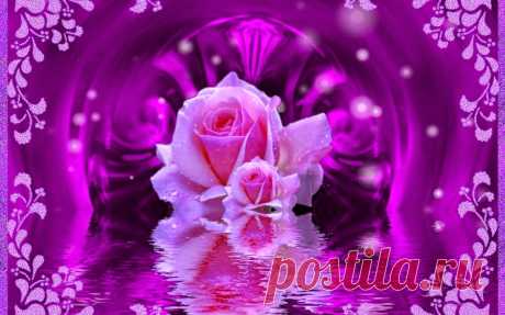 Photo - Google Photos