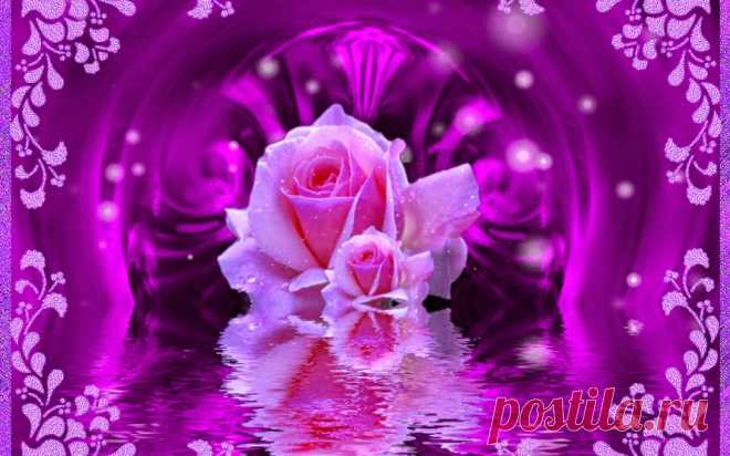 Photo - Google Photos