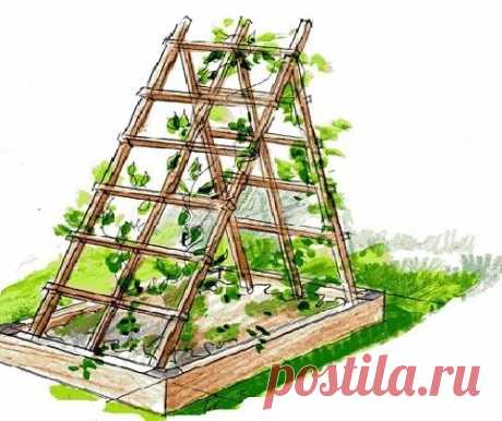 Как своими руками сделать перголу