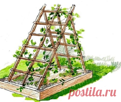 Как своими руками сделать перголу