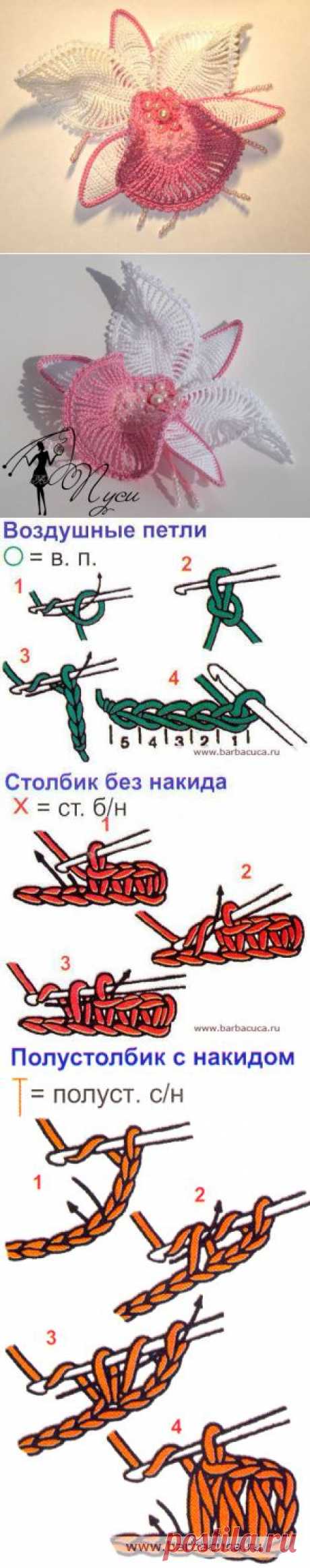 нежный и красивый — цветок орхидея от Пуси- полный мастер класс, вязание крючком | maxdeti.ru