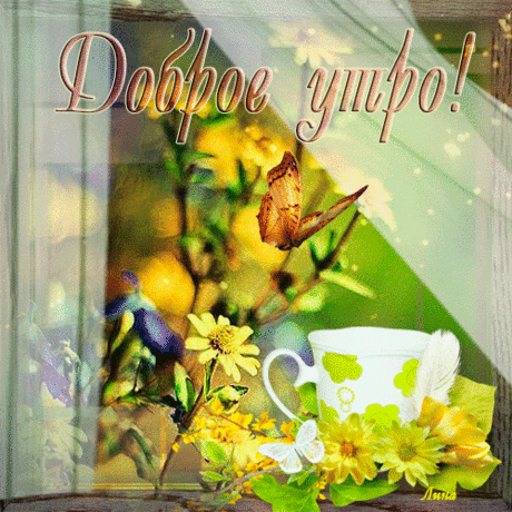 Доброе утро