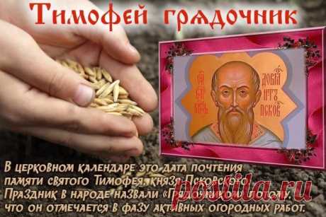 Здоровья крепкого и достатка,
Чтоб жизнь была, как мармеладка:
Сладкой и всегда идеальной,
А главное, что безумно приятной!