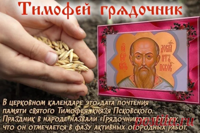 Здоровья крепкого и достатка,
Чтоб жизнь была, как мармеладка:
Сладкой и всегда идеальной,
А главное, что безумно приятной!