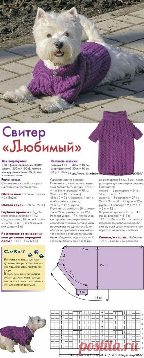 Свитер для собаки спицами