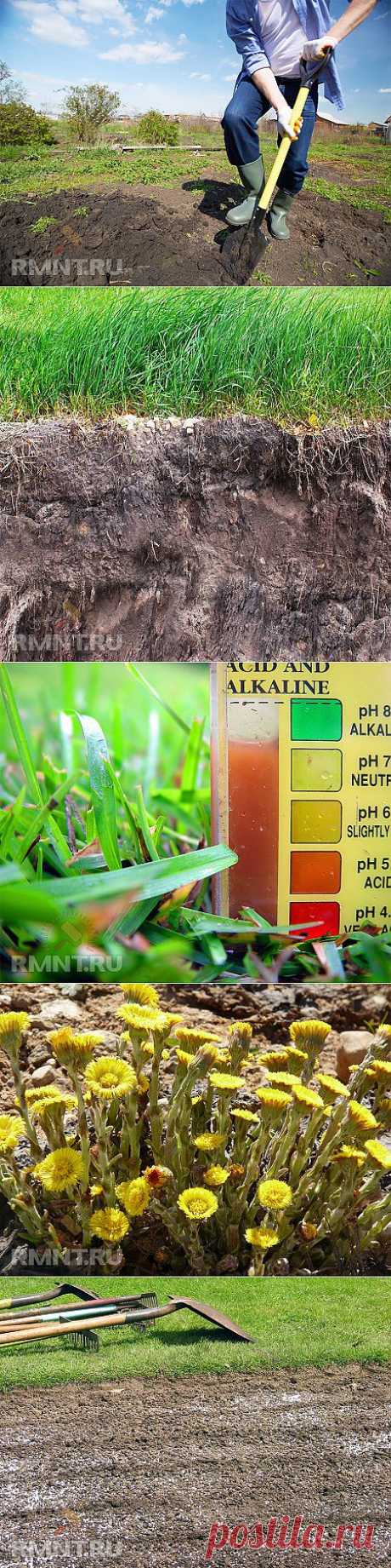 Как улучшить структуру почвы и повысить ее плодородие RMNT.RU