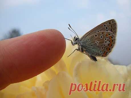 The soul of nature | Душа природы
