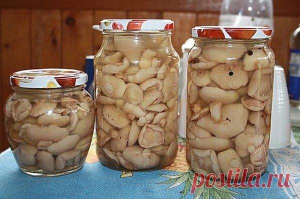 Рецепт: Маринованные маслята на зиму | Пошаговые рецепты с фото | Яндекс Дзен