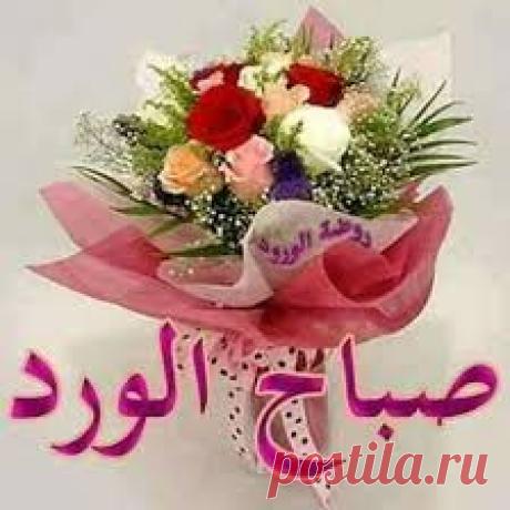 احدث صور دعاء الصباح 2020 - سيدات مصر