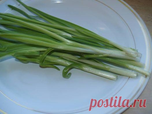 Соус песто из зеленого чеснока