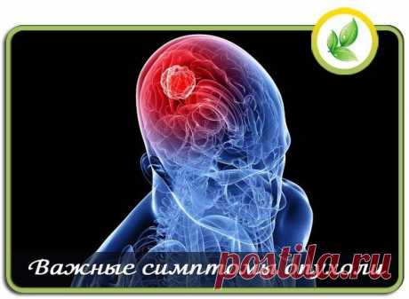 Симптомы опухоли | Мамам, женщинам, бабушкам и очень любознательным.