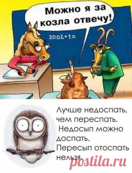 Смешные нарисованные картинки с прикольными надписями