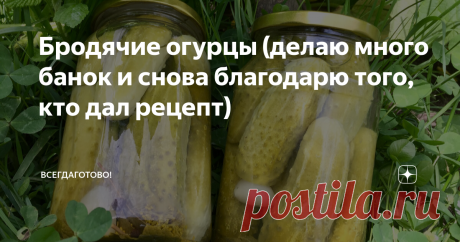 Бродячие огурцы (делаю много банок и снова благодарю того, кто дал рецепт) Почему "бродячие"? Неизменный вопрос каждого, кому я нахваливаю такие огурцы. Потому что в них нет уксуса, но есть процесс брожения перед тем, как герметично закрыть крышкой. Любимые огурцы в моем окружении: и просто похрустеть, и в винегрет, и в рассольник, и закусить). Рецепт-хит в моем арсенале! Если и в вашем так же, жду отзывов внизу под статьёй🙂 📌 ПРИГОТОВЛЕНИЕ На 1 литр холодной воды: 2 сто...