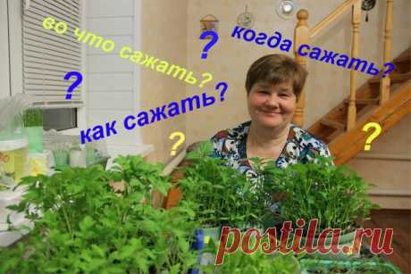 Девочки, нашла до безобразия интересное дачное сообщество ) Советы о выращивании на подоконнике и в саду, таких еще не встречала. Так что теперь меня за уши не оттащить от компа!
Скорей все сюда  Моя Любимая Дача